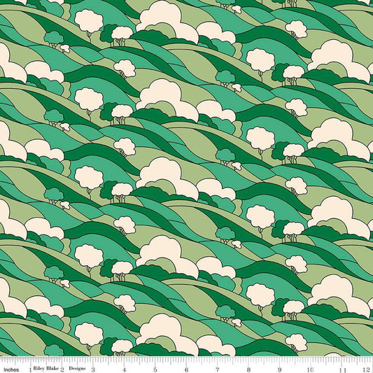 Woodland Walk Hillside Adventure Hillside B