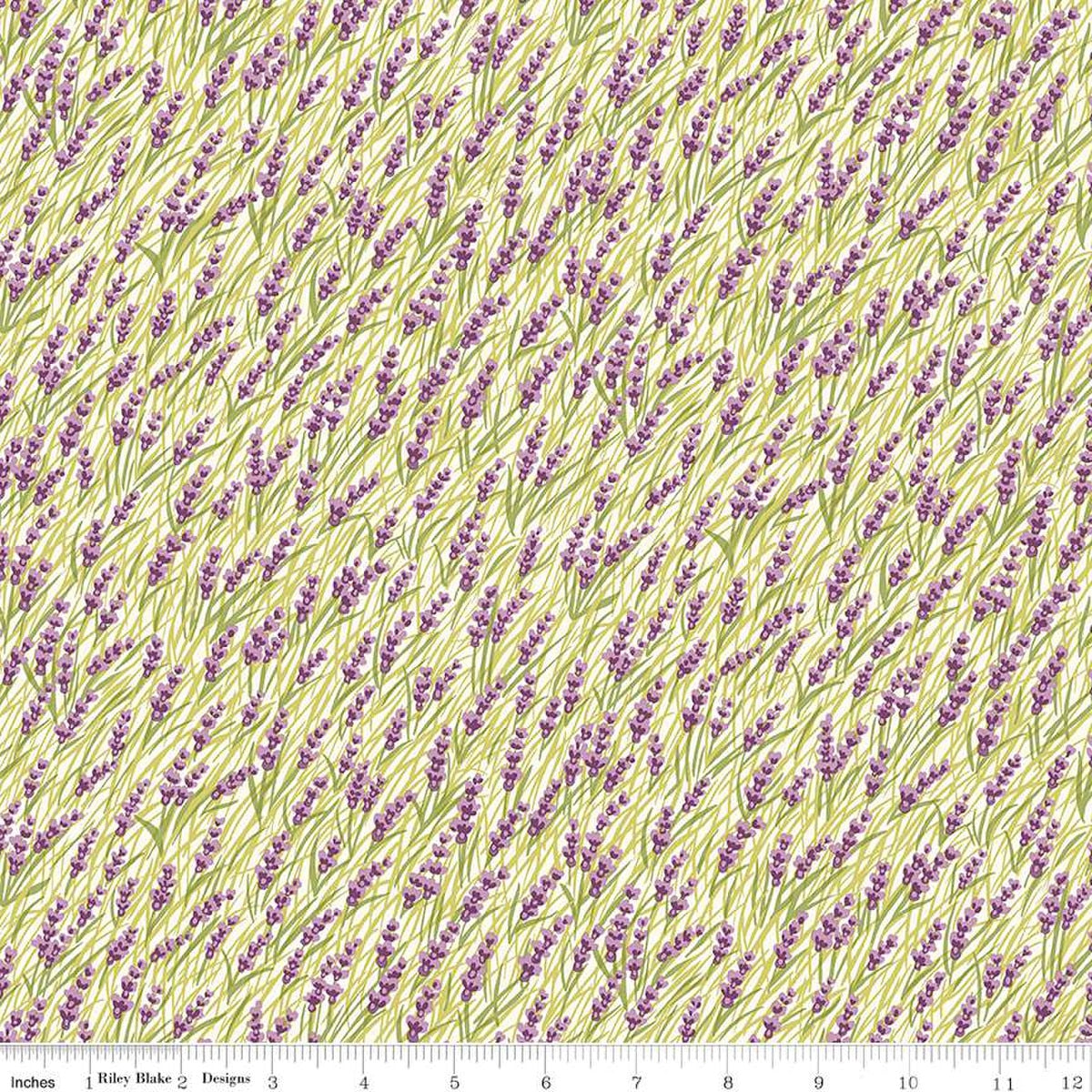 Liberty Postcard from the Highlands Marsh Orchids A