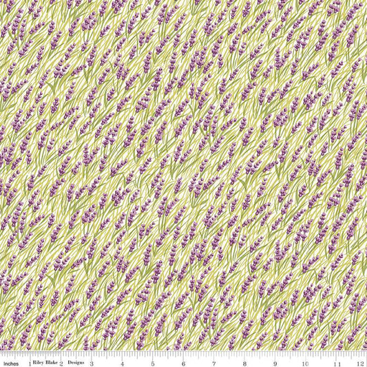 Liberty Postcard from the Highlands Marsh Orchids A
