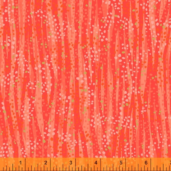 Dewdrop - Dewdrop - Mandarin