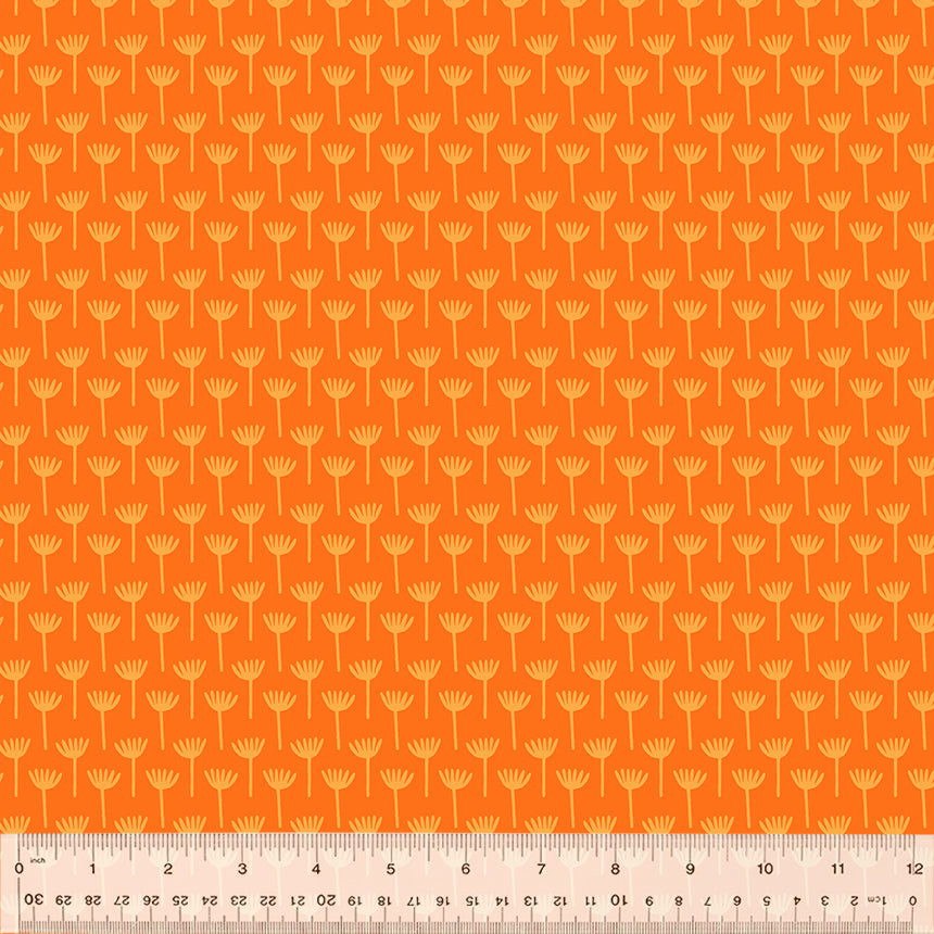 Hothouse - Sprout - Cosmos