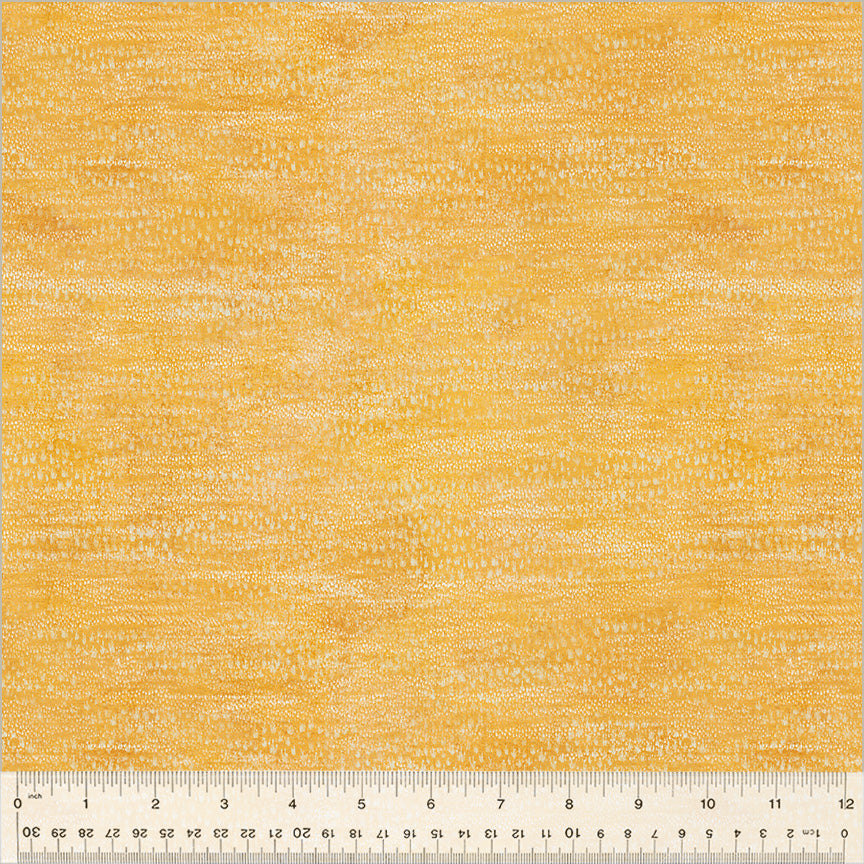 Sunday Drive - Grass - Wheat