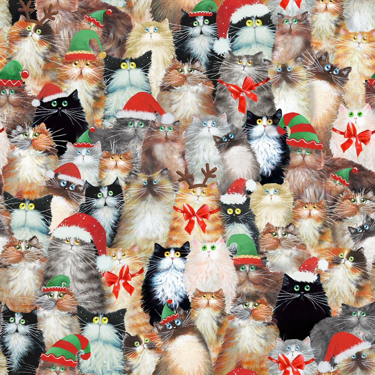Ultimate Kitty Chistmas Bundle