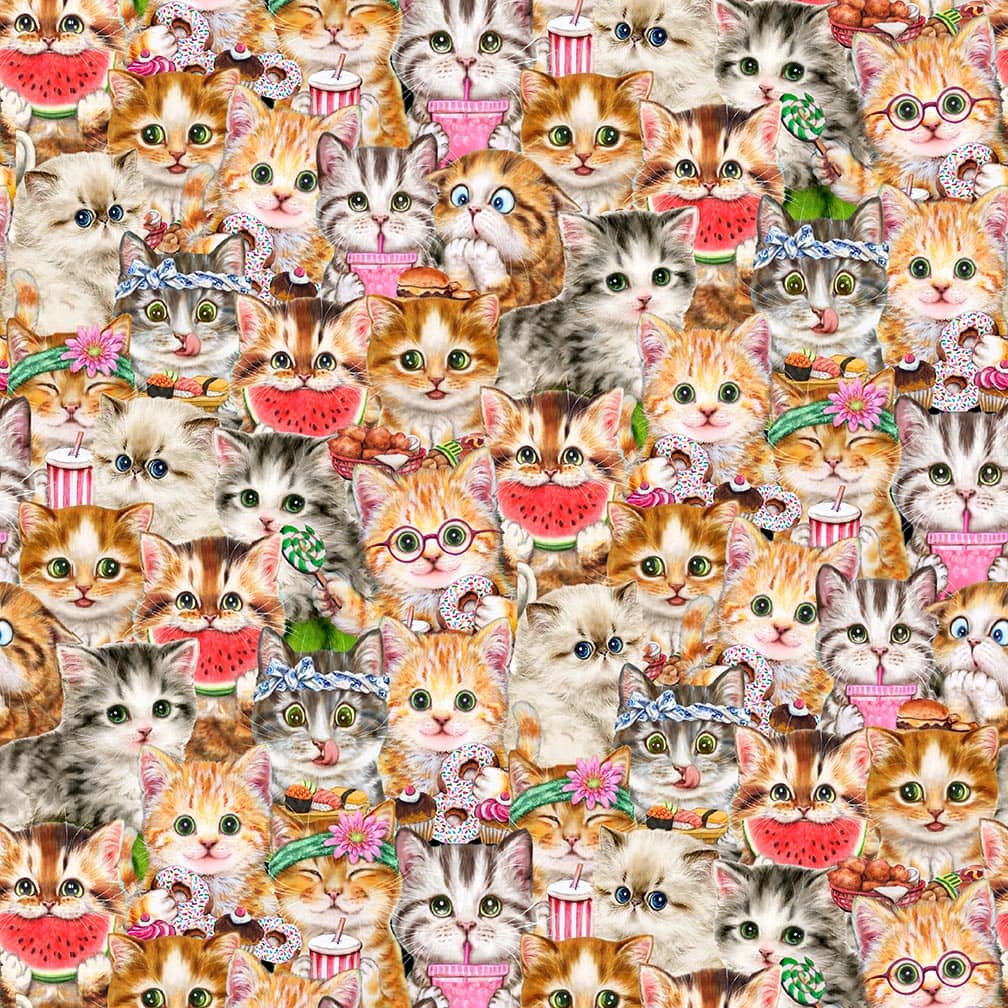 Instagram Famous Kitty Bundle