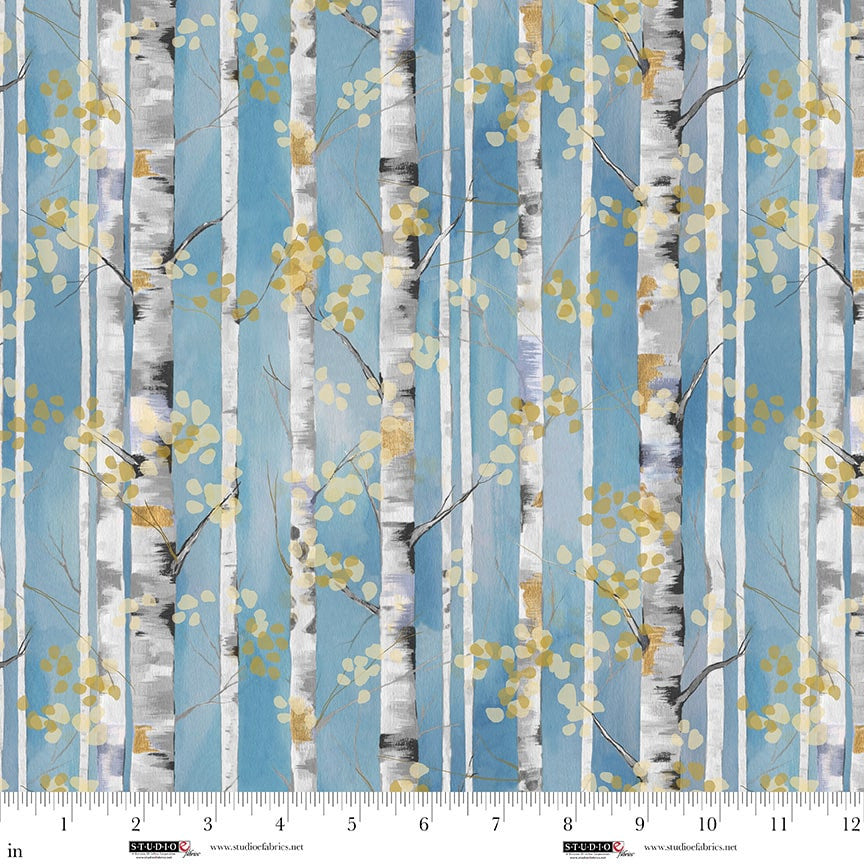 Behind Blue Eyes - Birch Trees - Slate