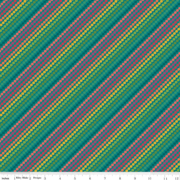 Rainbow Stripe Bundle