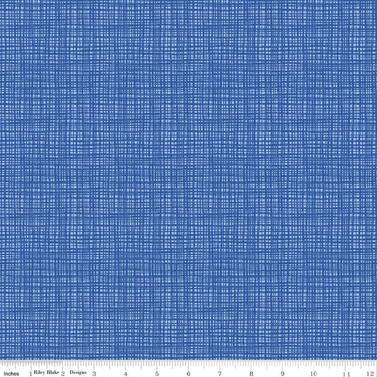 Texture In Color Bluebird