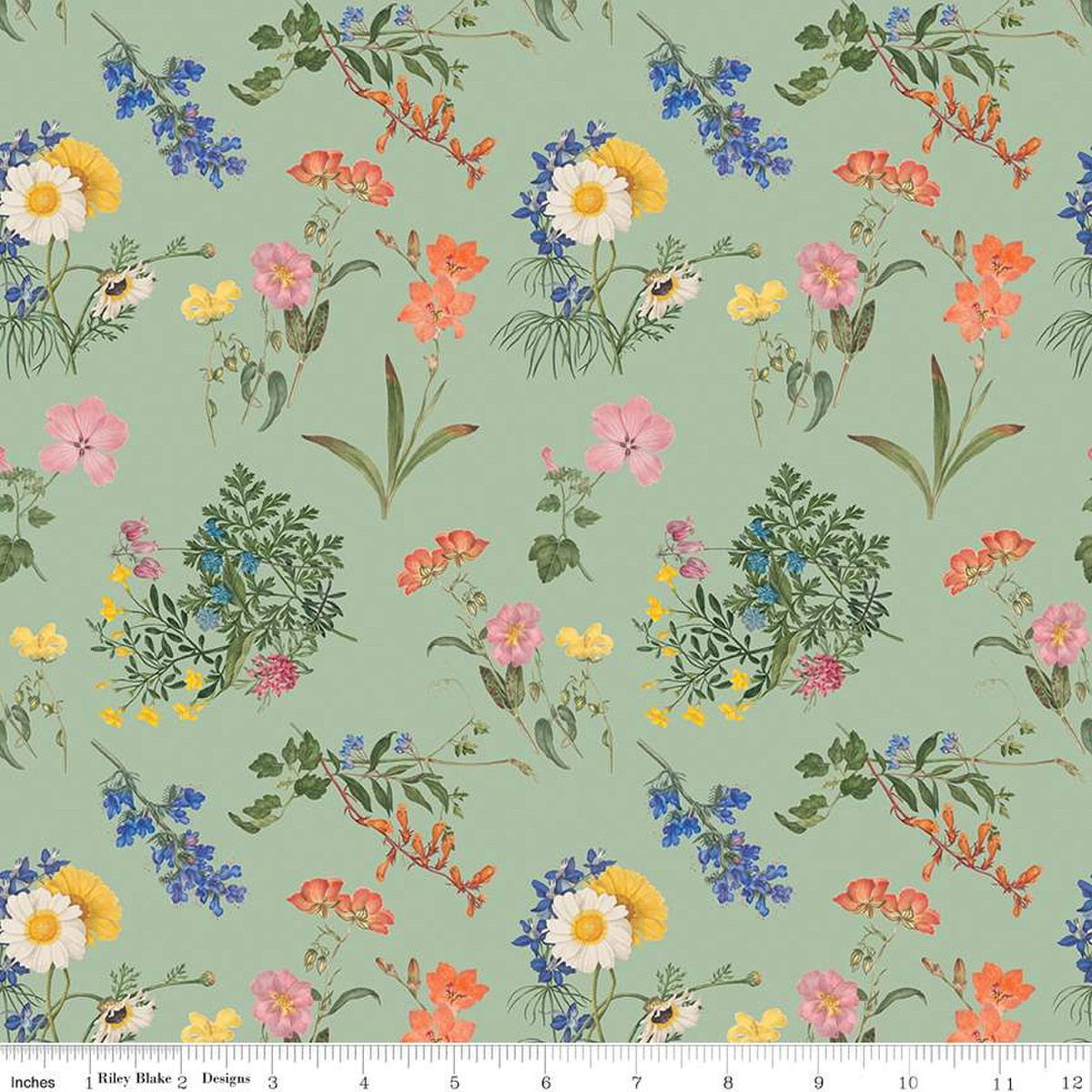 Nature's Portrait Cute Cuttings Sage