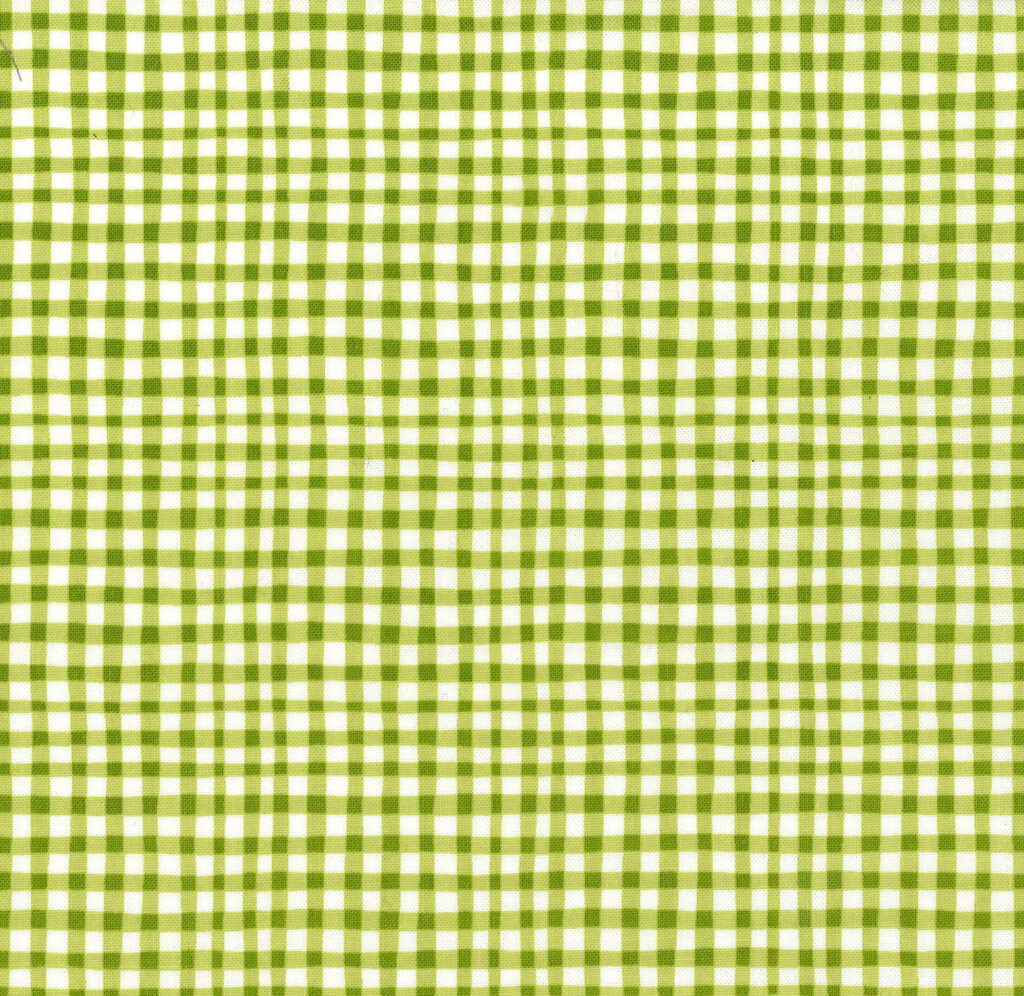 Gingham Play - Asparagus