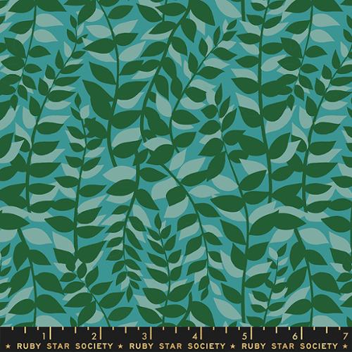 Ruby Star - Elixir Succulent