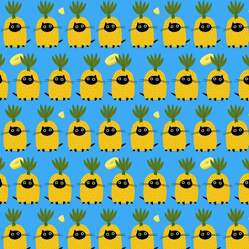 Pawnapples - Dresden