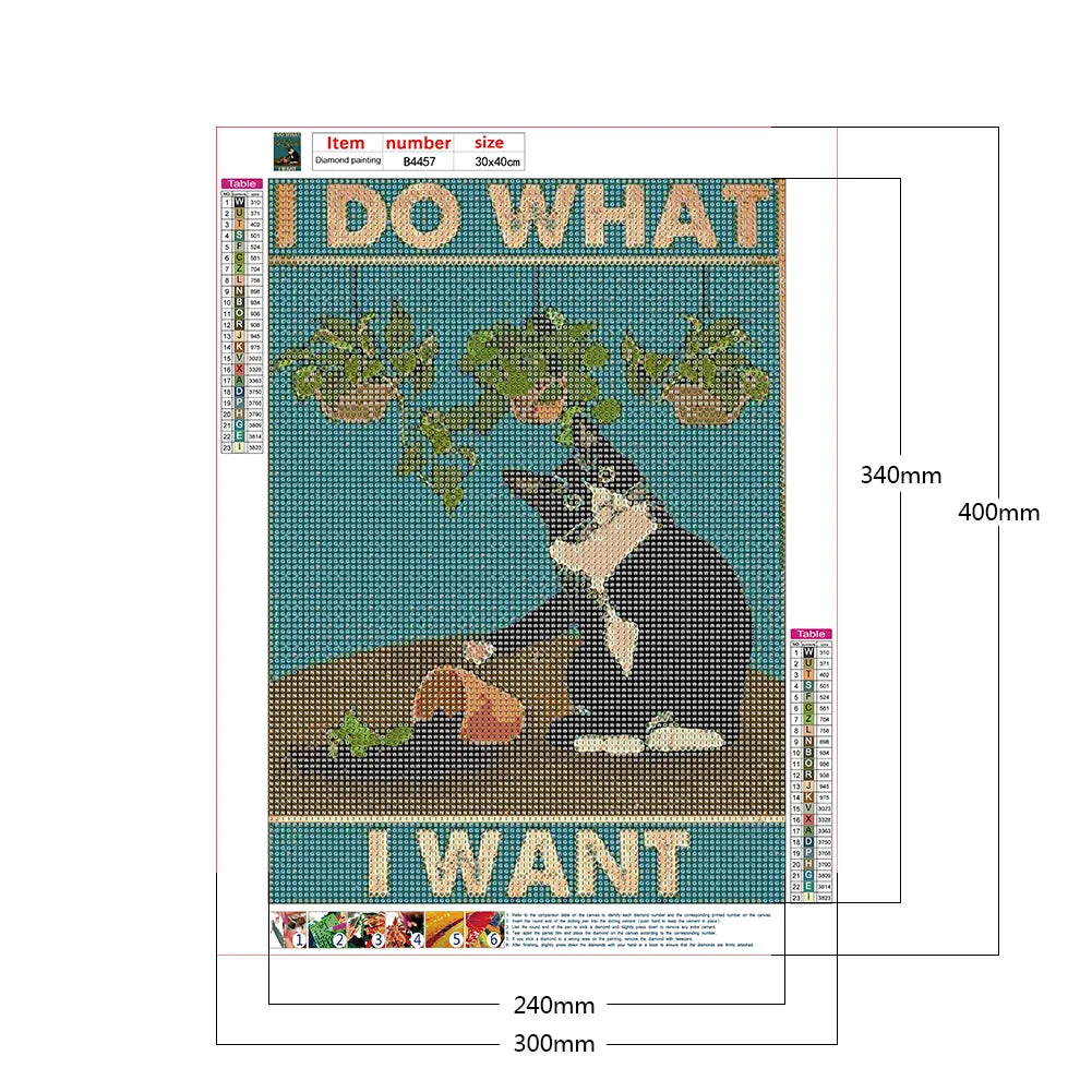 I do what I want - Sassy Cat - Diamond Painting Kit