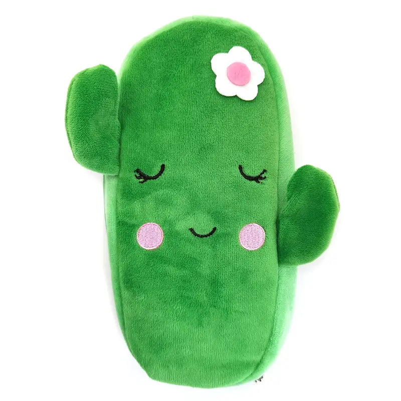 cactus pouch