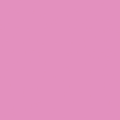 Modern Bright Solid Bundle