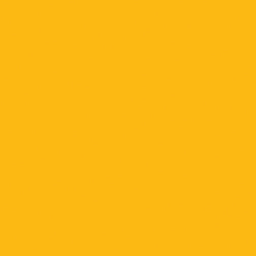 Superior Solids Squash