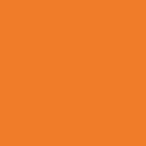 Modern Bright Solid Bundle