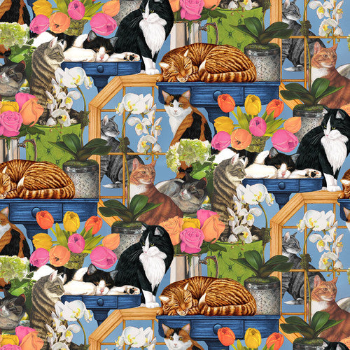 Whiskers Among Petals Bundle