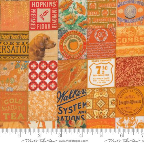 Curated In Color Orange - 7461 13