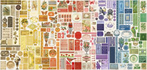 Curated In Color Rainbow - 7466 11