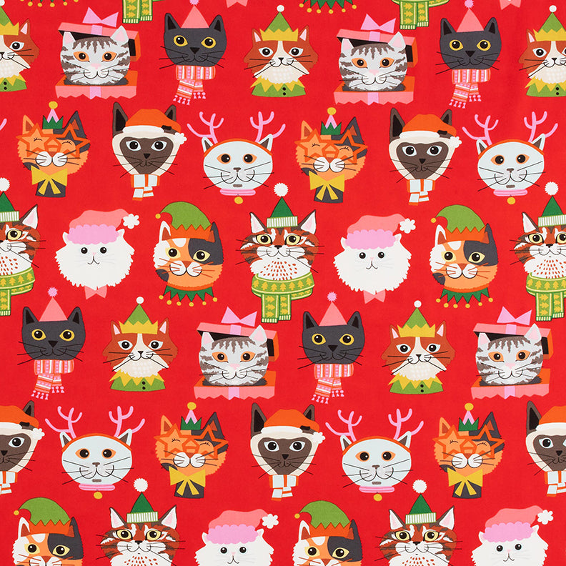 KITTY CHRISTMAS