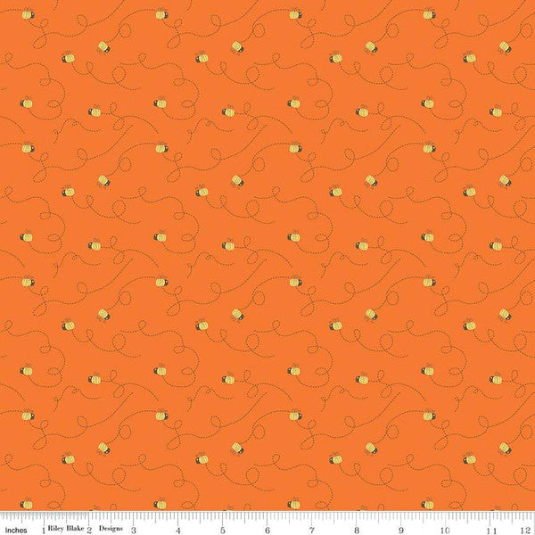 The Orange Bundle