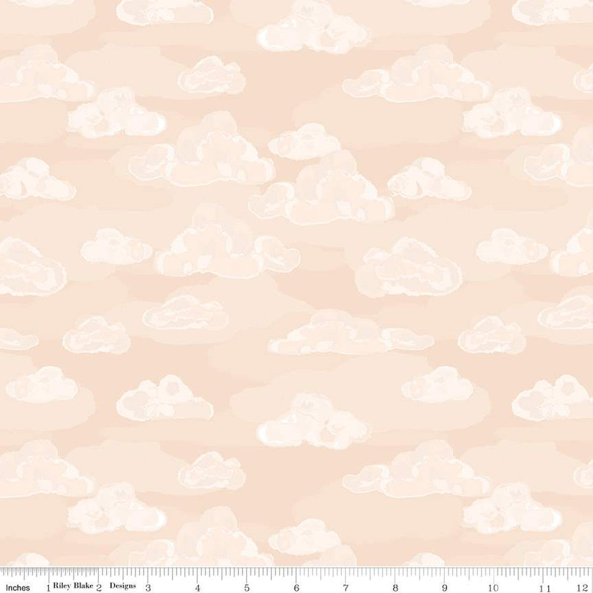 Wild And Free Clouds Peach