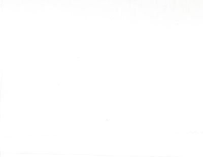 108" 200 Count Moda Muslin Warm White