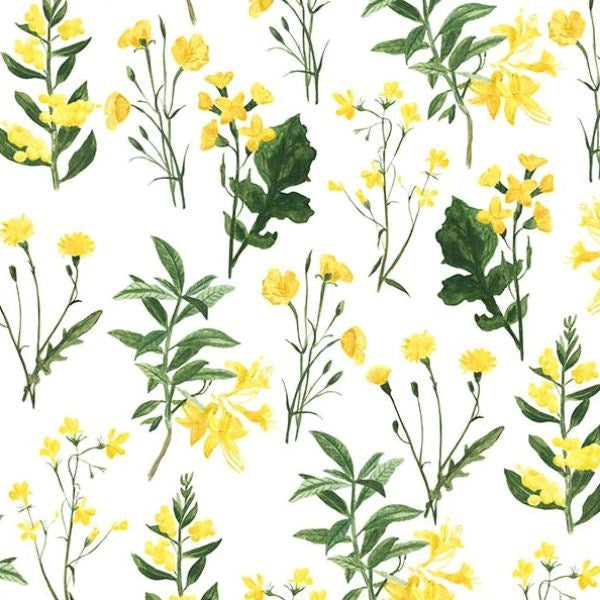 Far and Wide - Flowers - White