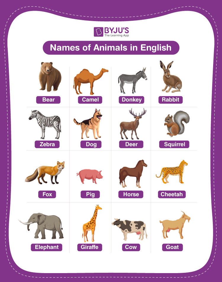 Animals – Keaton Quilts