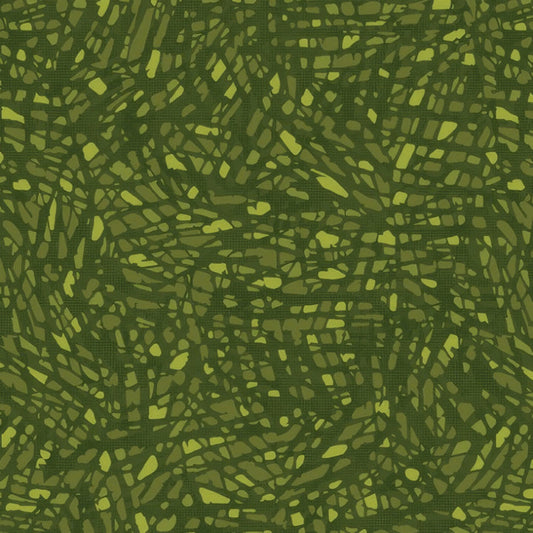 Green Colour Prism