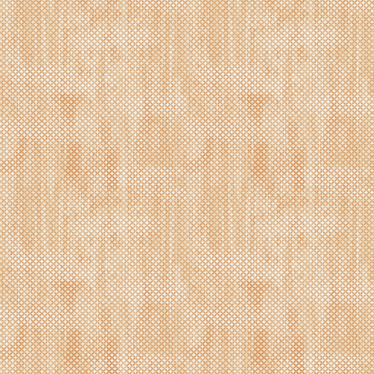 Light Orange Whitewash Harvest | Harvest Gathering