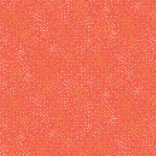 City Lights Salmon | Cityscapes