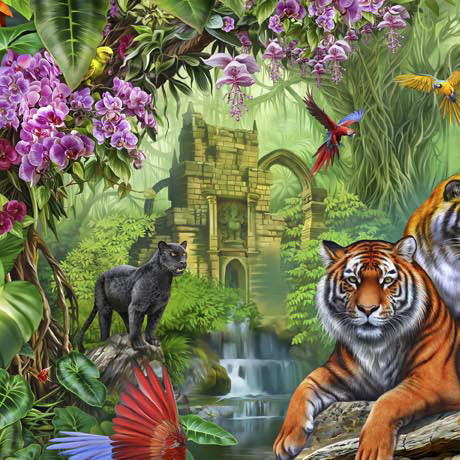 Jungle Paradise - Jungle Scenic