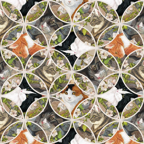 3642-90 Stone || Whiskers Among Petals