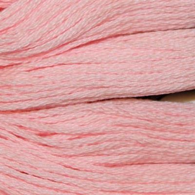 Presencia - Embroidery Floss 8m LIGHT PALE GERANIUM - 1724