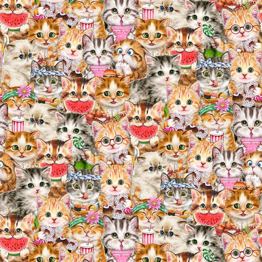 Instagram Famous - Packed Cats - Cream