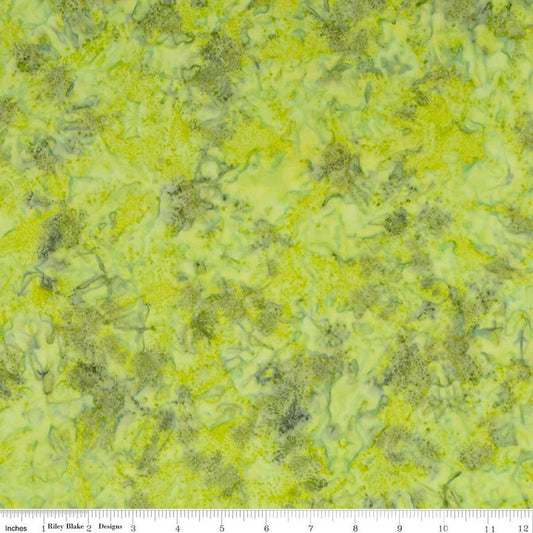 Expressions Batiks Hand Dyes Light Green Multi