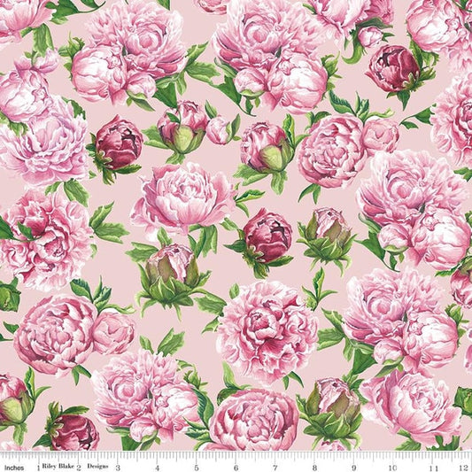 May Peonies Pink