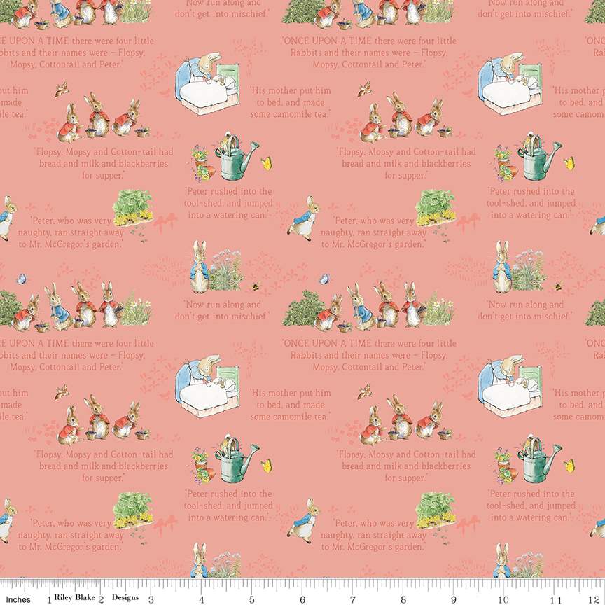 Tale of Peter Rabbit Bundle