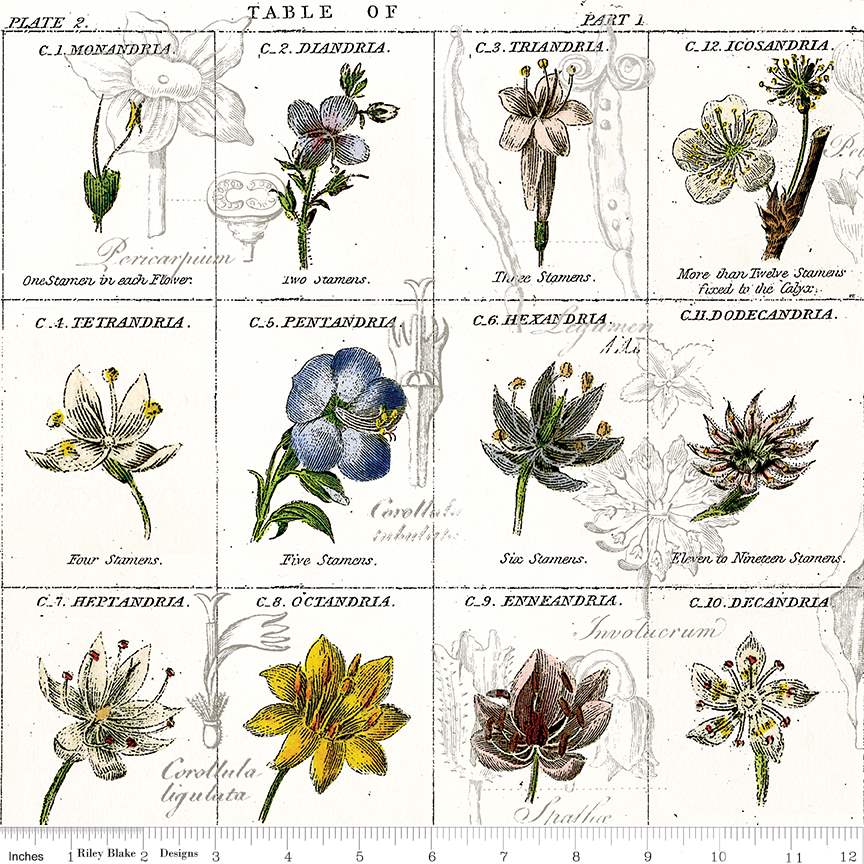 Sewing Seeds III Flower Classes White