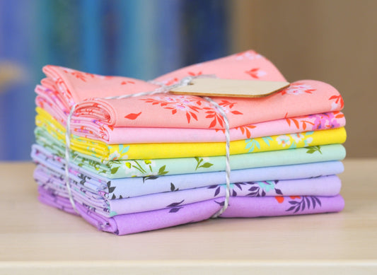 Tula Pink What a Ditz Bundle
