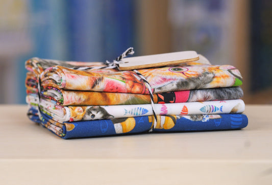 Instagram Famous Kitty Bundle