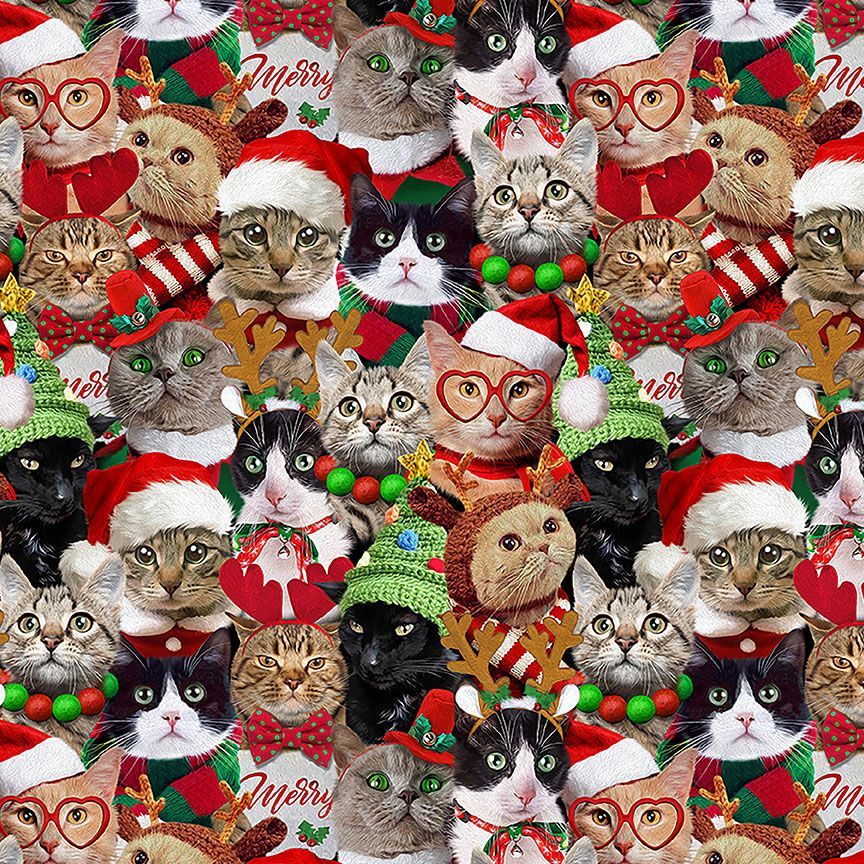 Packed Holiday Cats - Holiday