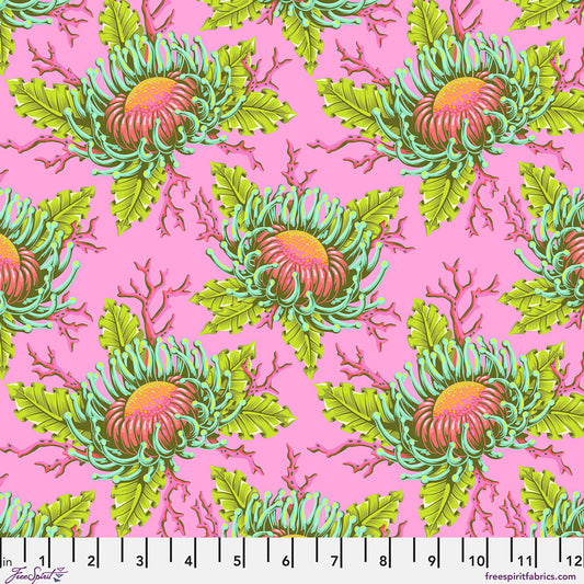 *Pre-order* Tula Pink - Friends & Anemones - Coralline || Floral Reef