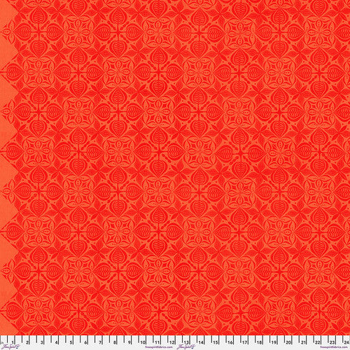 Curious - Tangerine