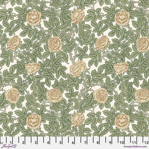 Rambling Rose - Leafy