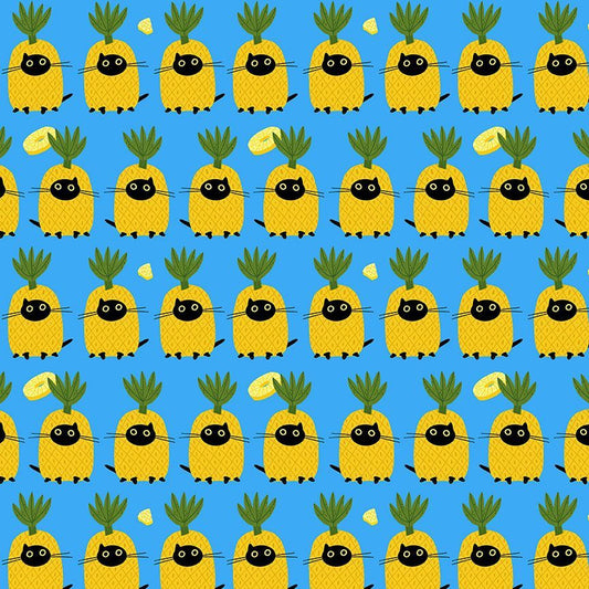 Pawnapples - Dresden