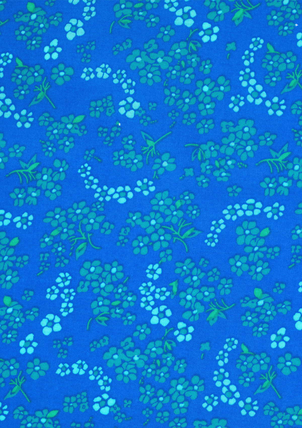 Petit Pan - Blue Hanako