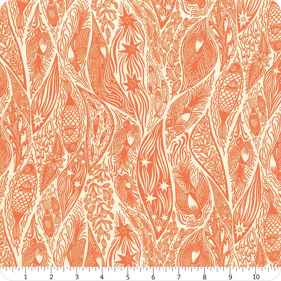 Shooting Star - Tangerine Current