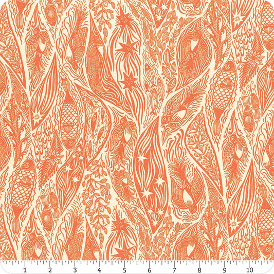 Shooting Star - Tangerine Current